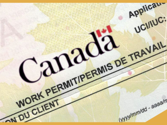 Close up of a government of Canada work permit.