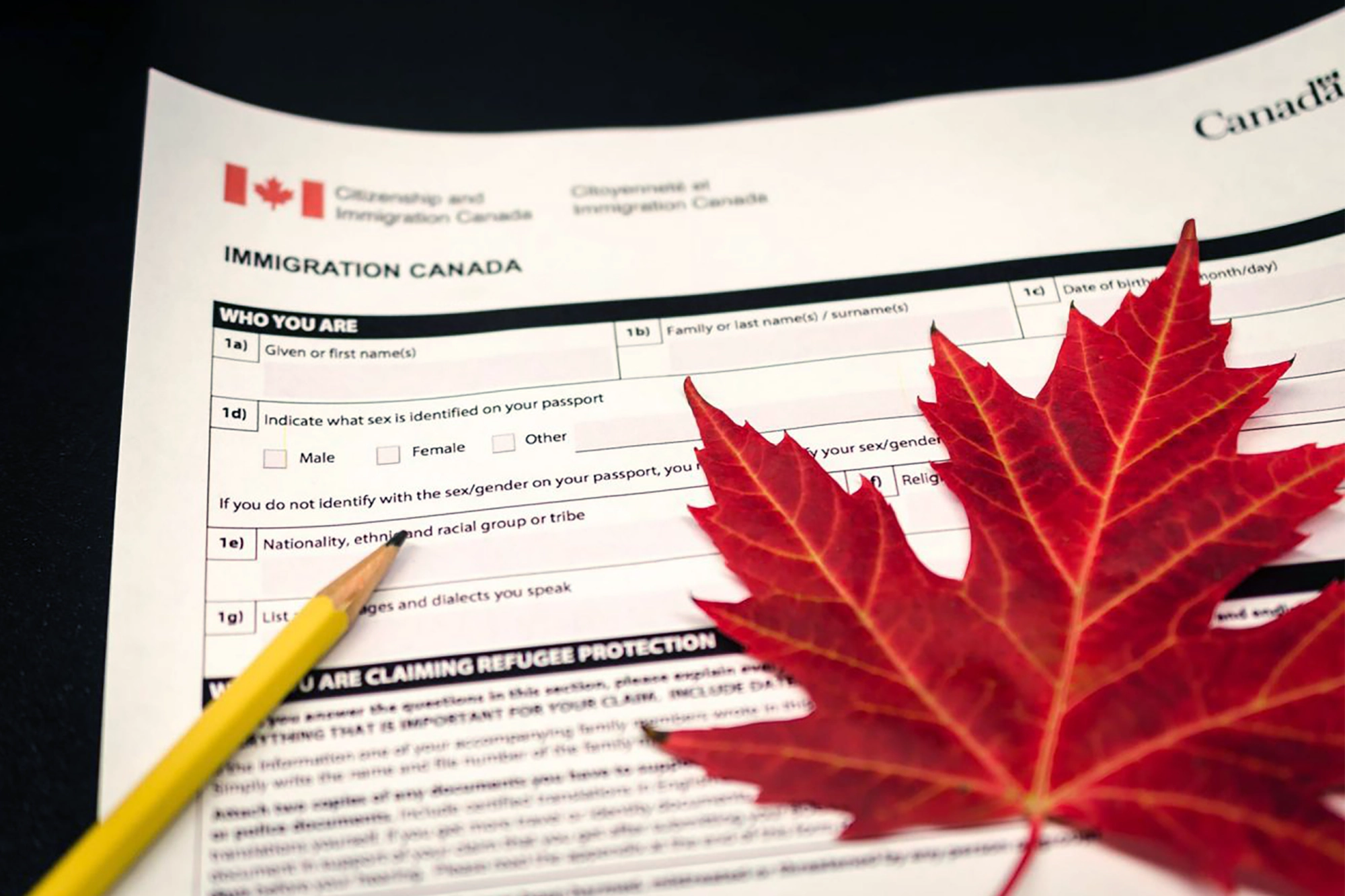 Canadian immigration form with a Canadian maple leaf overlapping the form.